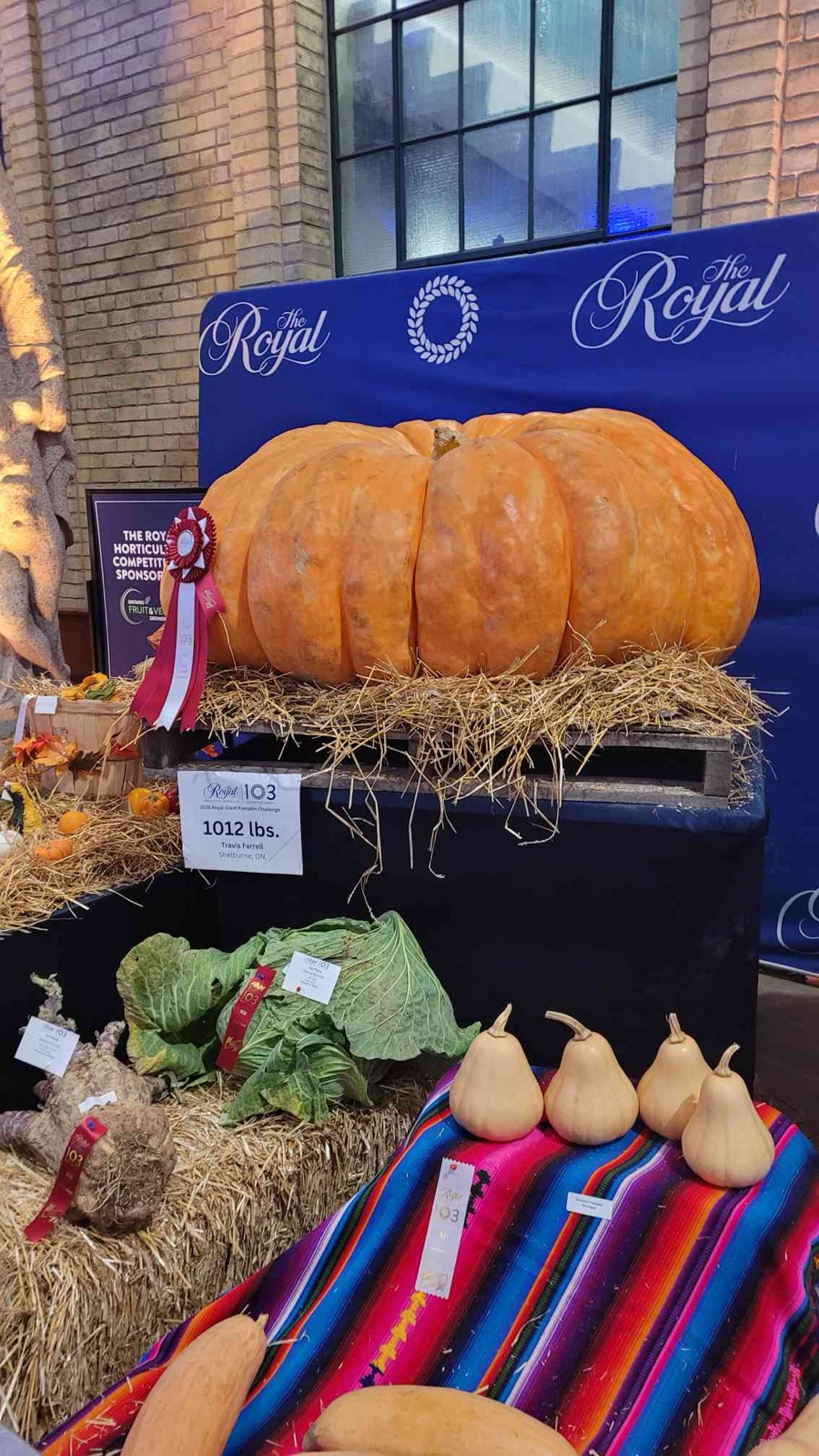 토론토 The Royal Agricultural Winter Fair · 2026.11.06–15