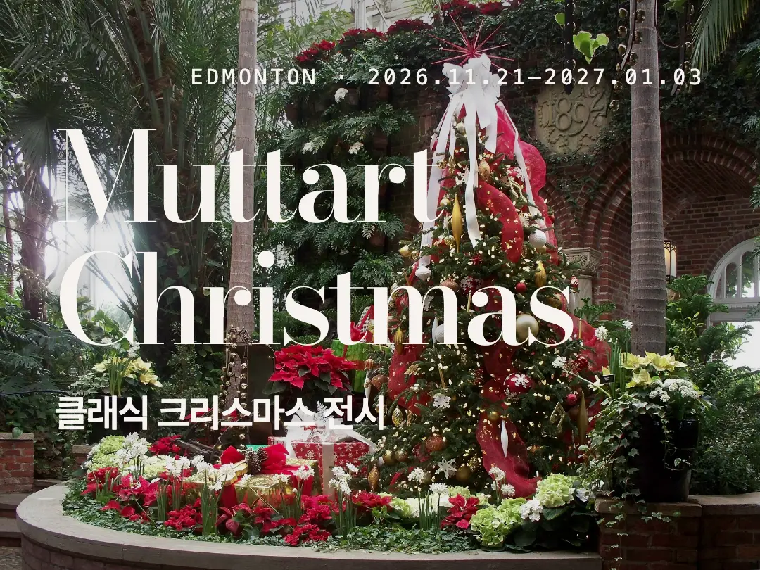 에드먼턴 Muttart Classic Christmas