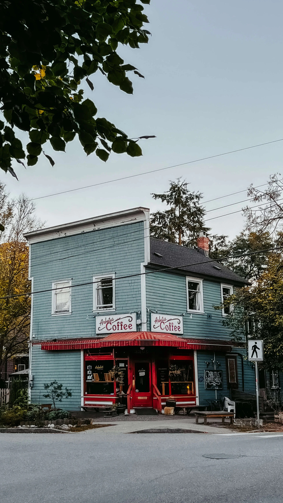Arbutus