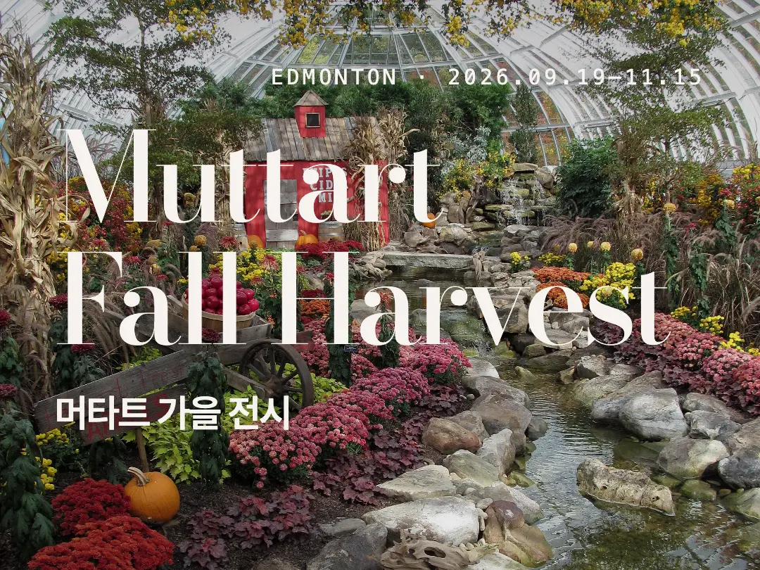 에드먼턴 Muttart Fall Harvest 가을 전시