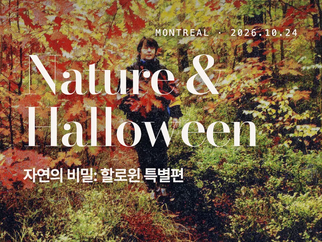 몬트리올 할로윈 자연 탐험
